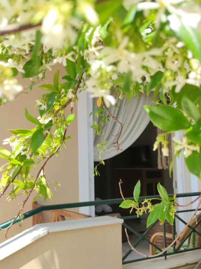 Kd Boho Home Lávrion エクステリア 写真